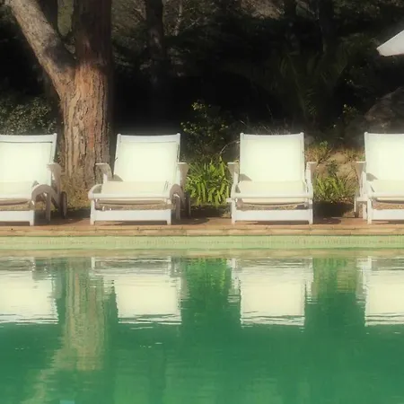 Magnifica villa en el masnouplatja daro *